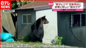 NL・NK法案